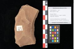 Foto (Objekt + Etikett) von Myrica lignitum Unger (NHMW-GEO-2024-0188-0614)